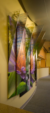 "Alta Bates Hosp., Berkeley CA.