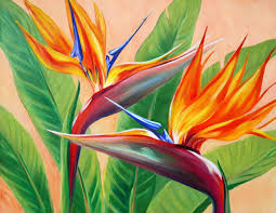 CC "Tropical Flirtation"