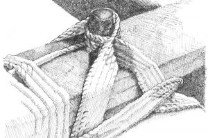 Pencil on Paper
