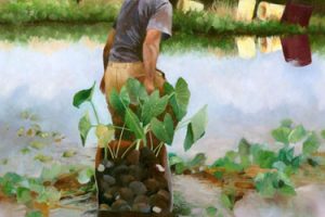 Oil on Canvas