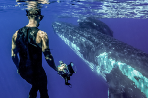 JG "Photographer with Humpback"