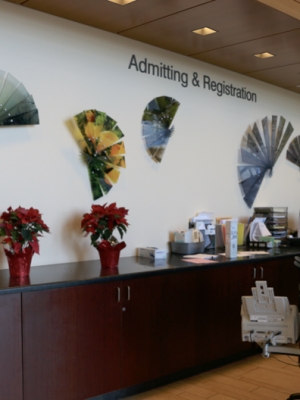 Photograph on Acrylic fan motif
