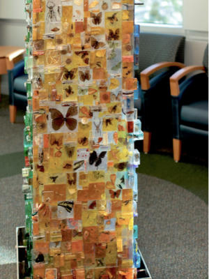 Photograph and Acrylic Sculpture
