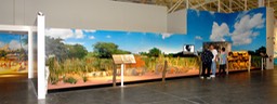 Pearl Harbor Aviation Museum Ni'ihau Exhibit Diarama Mural, printed on 3M